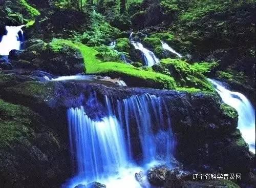 88影视
